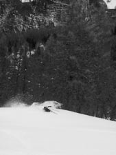 ski forêt de l'Ayré