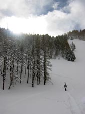 forêt de l'Ayré ski