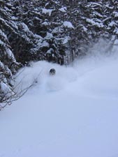 ski de randonnée forêt de l'Ayré