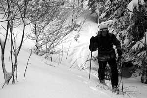 ski de randonnée dans la forêt de barrada