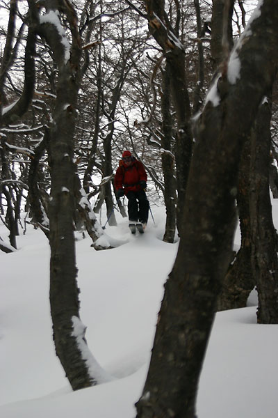 cerro castor