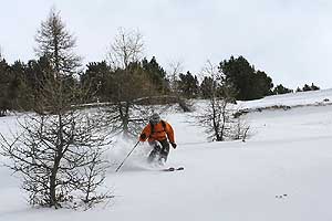 forêt de l'Ayré