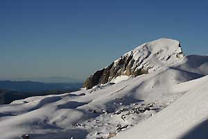 pico blanco