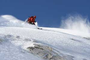 pico blanco