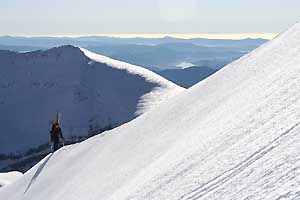 pico blanco