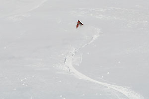 penitentes