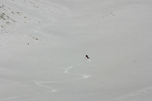 ski mendoza
