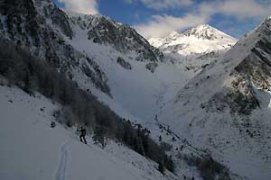 forêt de Sahucs