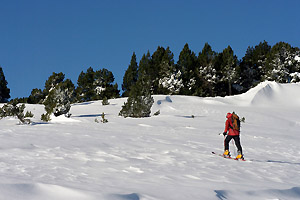 ski tarbésou