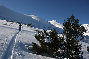 Brèche Esmarralhada