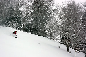 Brèche Esmarralhada