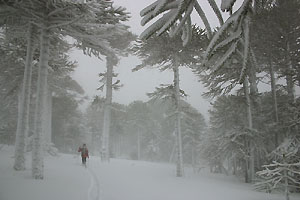 volcan Lonquimay