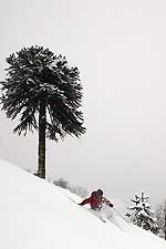 ski  de randonnée volcan Lonquimay