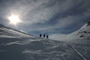 descente de la forêt de barrada