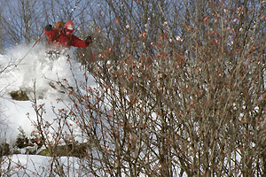 ski tarbésou