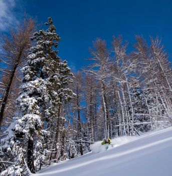 Les belles forêts du Tossal Mercader