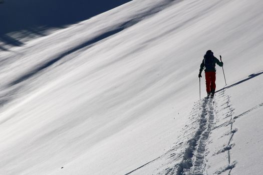 Antoine à la trace